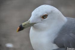 Tierpark Berlin