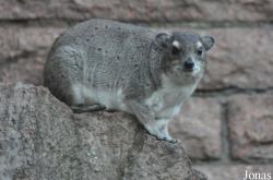 Tierpark Berlin