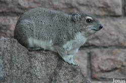 Tierpark Berlin