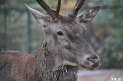 Tierpark Berlin