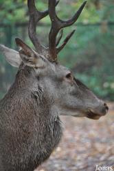 Tierpark Berlin