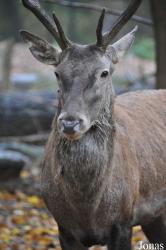 Tierpark Berlin