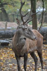 Tierpark Berlin
