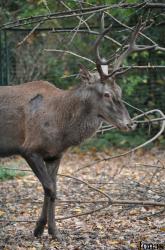 Tierpark Berlin