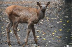 Tierpark Berlin