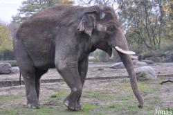 Tierpark Berlin