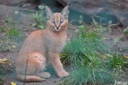 Tierpark Berlin