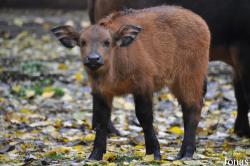 Tierpark Berlin