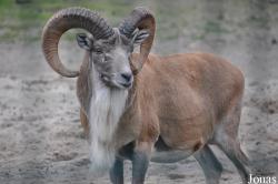 Tierpark Berlin