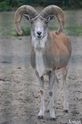 Tierpark Berlin