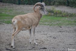 Tierpark Berlin