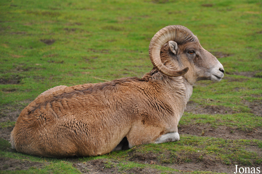 Tierpark Berlin