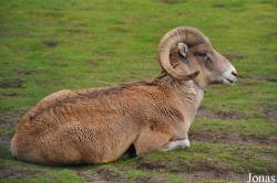 Tierpark Berlin