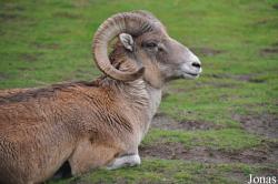 Tierpark Berlin