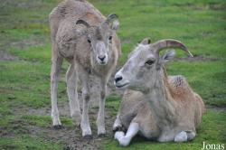 Tierpark Berlin