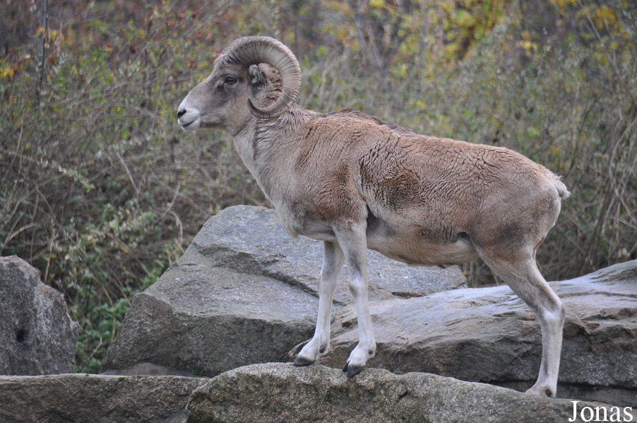 Tierpark Berlin