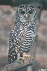 Tierpark Berlin