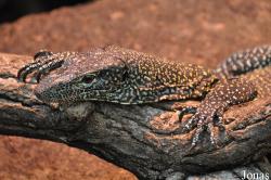 Tierpark Berlin