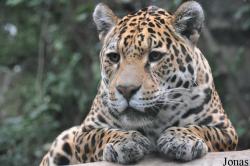 Edinburgh Zoo