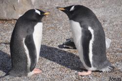 Edinburgh Zoo