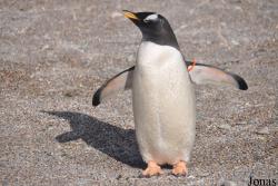 Edinburgh Zoo