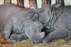 Edinburgh Zoo