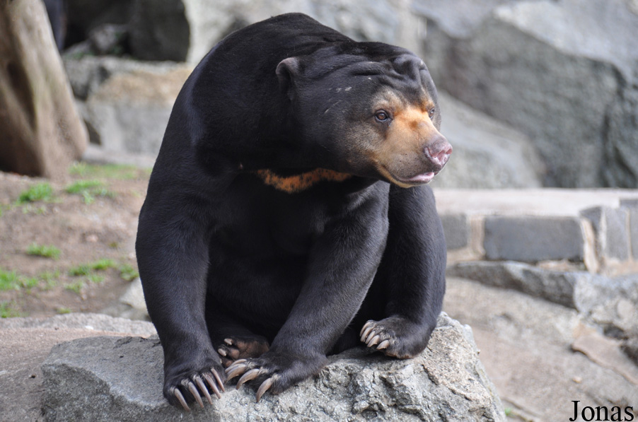 Edinburgh Zoo