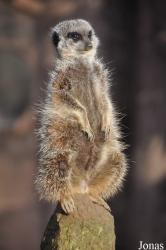 Erlebnis-Zoo Hannover
