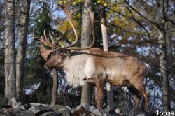 Erlebnis-Zoo Hannover