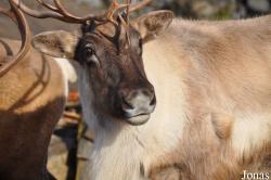 Erlebnis-Zoo Hannover