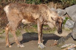 Erlebnis-Zoo Hannover