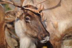 Erlebnis-Zoo Hannover