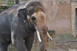 Erlebnis-Zoo Hannover