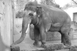 Erlebnis-Zoo Hannover