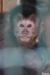 Zoo Aschersleben