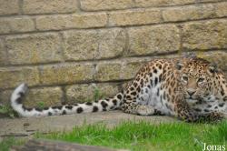 Heythrop Zoological Gardens