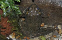 Heythrop Zoological Gardens