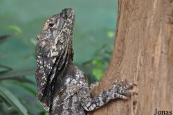 Marwell Wildlife