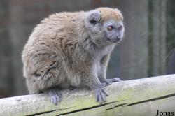 Marwell Wildlife