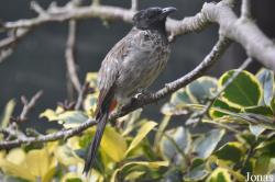 Birdworld