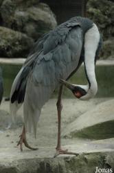 Chengdu Zoo
