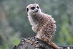 Parken Zoo Eskilstuna