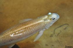 Aquaria Vattenmuseum