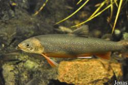Aquaria Vattenmuseum