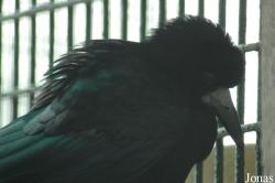 Chengdu Zoo