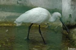 Chengdu Zoo