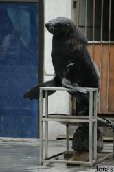 Chengdu Zoo