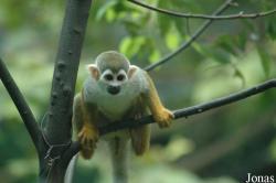 Chengdu Zoo