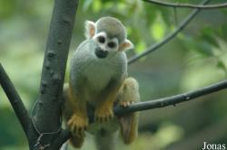 Chengdu Zoo