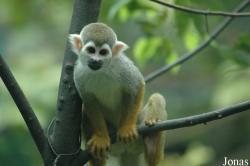 Chengdu Zoo
